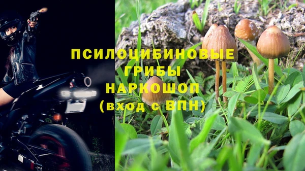 дмт Ладушкин