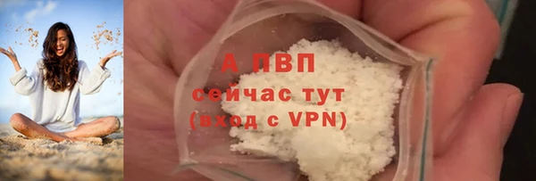 дмт Ладушкин
