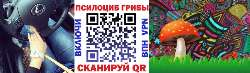Псилоцибиновые грибы Magic Shrooms  Михайловка 